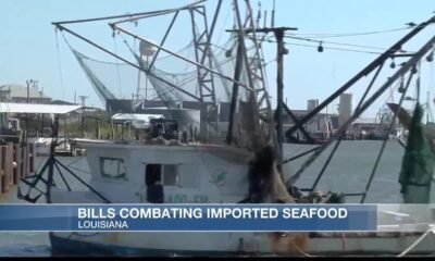 Several bills would crack down on imported seafood in Louisiana